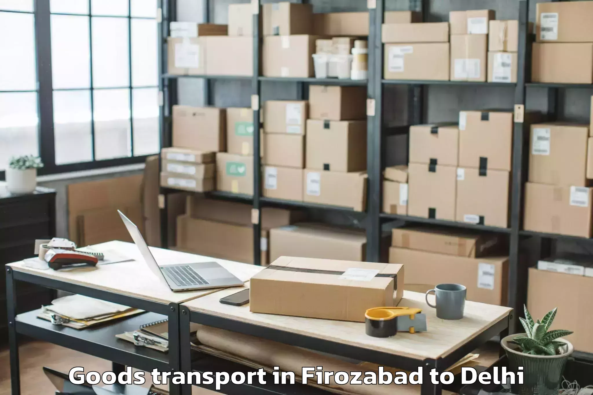 Trusted Firozabad to Najafgarh Goods Transport